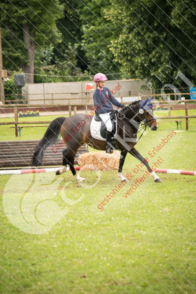 DSC_4774 | Sport-, Event- und Tierfotos in Profiqualität. Einfach auswählen, bestellen und herunterladen. Dein Moment – perfekt festgehalten.