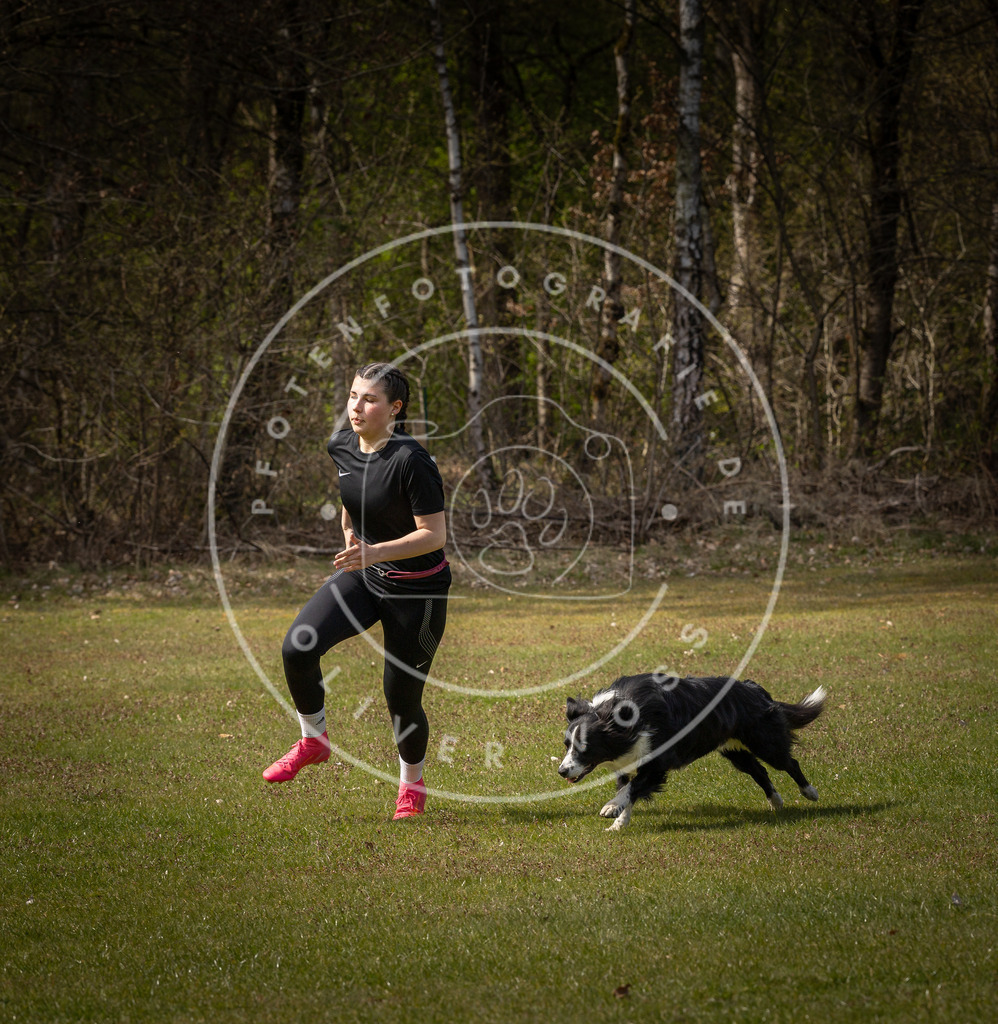Pfotenfotografie_DV3A5069 | Hundefotografie, Tierfotograf, Pfotenfotografie, Fotoshooting Hund, Hunde Portrait, Hundesport, Hundeportraits, Heideshooting, Hunde, Sportfotograf, Hundefotograf, Turnierhundsport, THS,  - Realisiert mit Pictrs.com