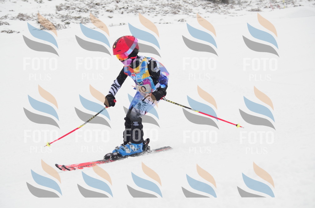 C0601 | holidayphoto