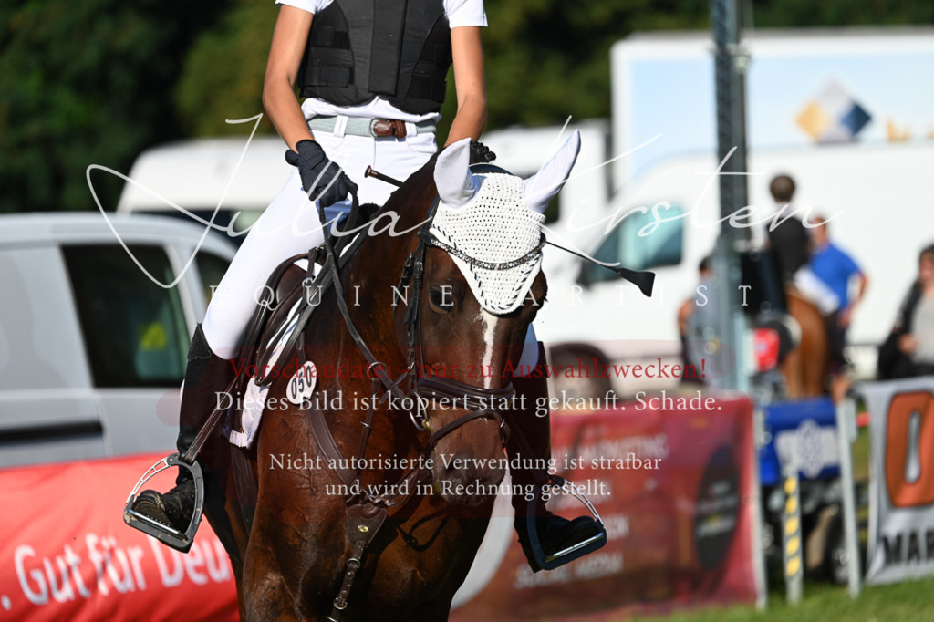 DSC_4923 | Pferde- und Turnierfotografie in Westsachsen. Pferdeportraits, Auftragszeichnungen und intuitive Kunst.