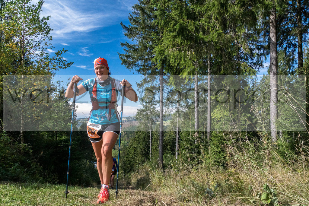 Herbstlauf | Neuhaus/Rwg. - Masserberg am 3. Oktober 2020