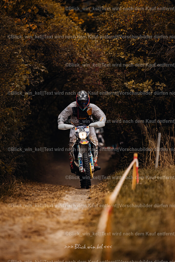 E68A8332 | blick_win_kel