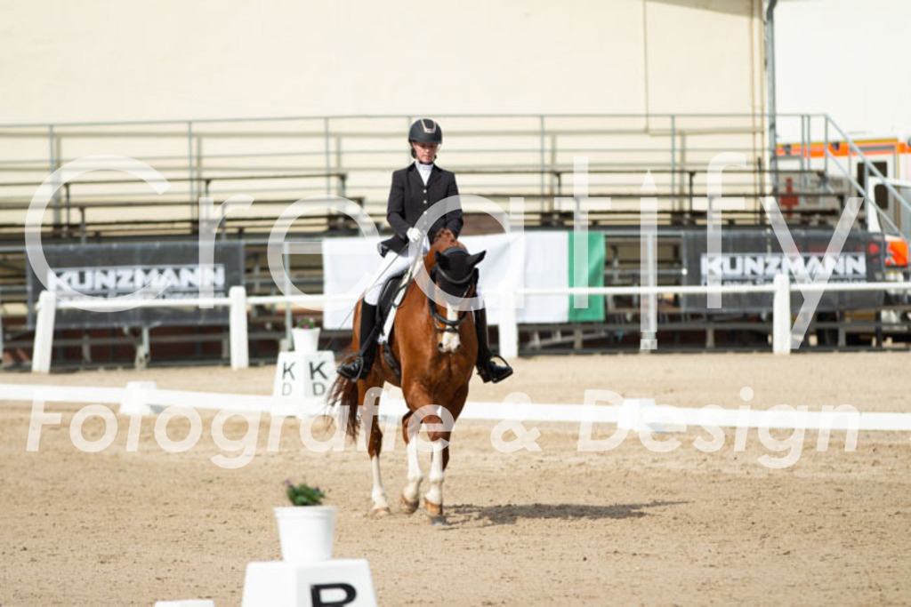 IMG_1320 | Creatify Fotografie