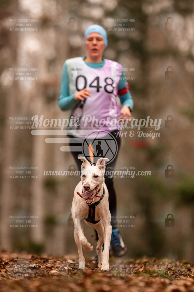 AKM_ST_2023_SAM_Run-119 | PayLife