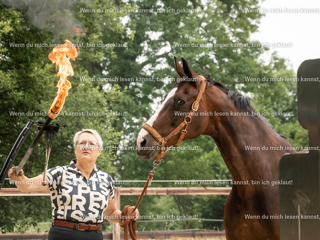 598A7983 | photographylinaismer - Realisiert mit Pictrs.com