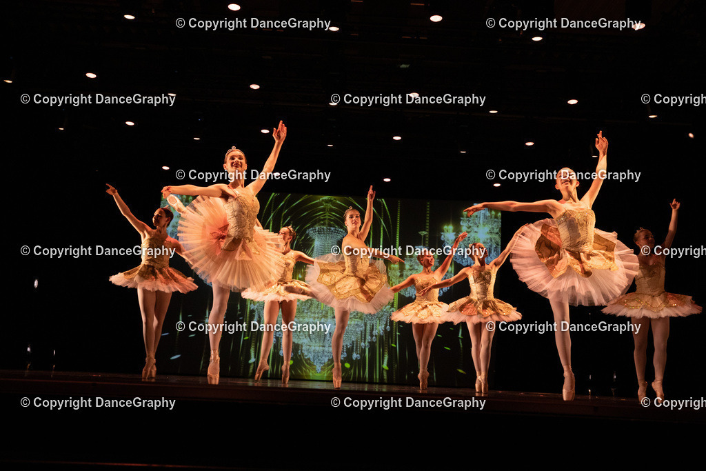 GPHY6541 | DanceGraphy - Realisiert mit Pictrs.com