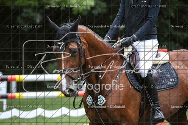 _W6A1529 | ronjaprokoschfotografie - Realisiert mit Pictrs.com