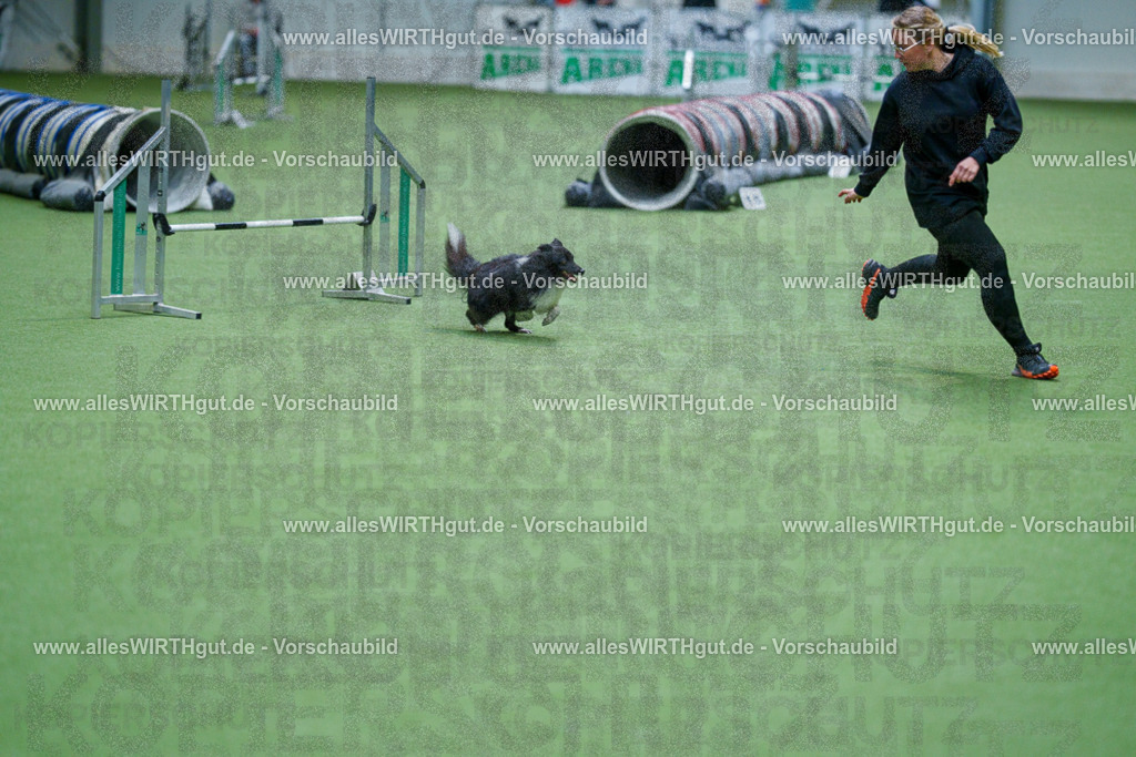 @allesWIRTHgut_Tierfotografie - www.allesWIRTHgut.de - 2604250957-7R509324 | Professionelle Tierfotografie in Mönchengladbach von Daniel Wirth (allesWIRTHgut). Liebevolle & natürliche Bilder von Hunden & Katzen für unvergessliche Erinnerungen.