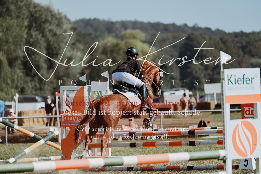 DSC_9373 | Pferde- und Turnierfotografie in Westsachsen. Pferdeportraits, Auftragszeichnungen und intuitive Kunst.