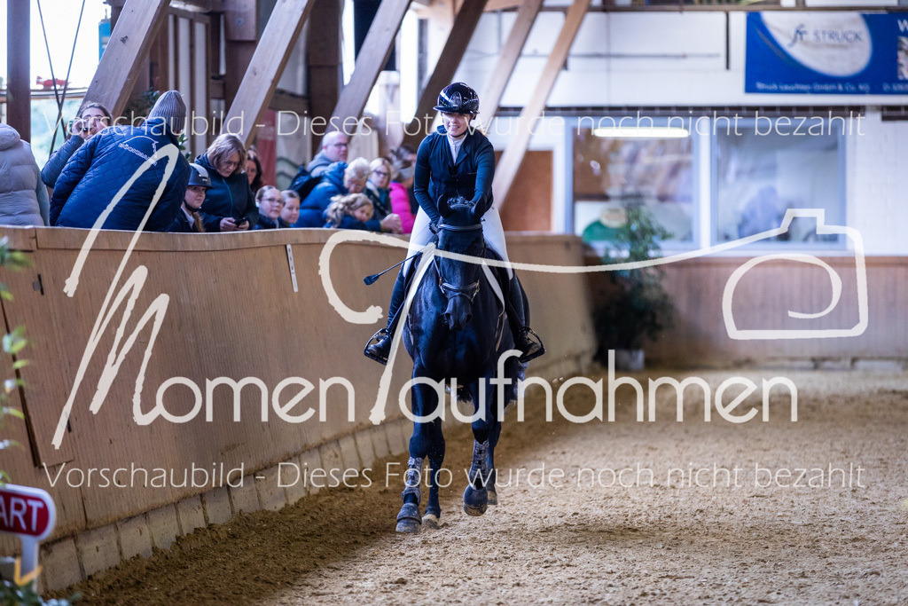 Sth-Gewöhnung-025 | MomenTaufnahmen Pferdesportfotos