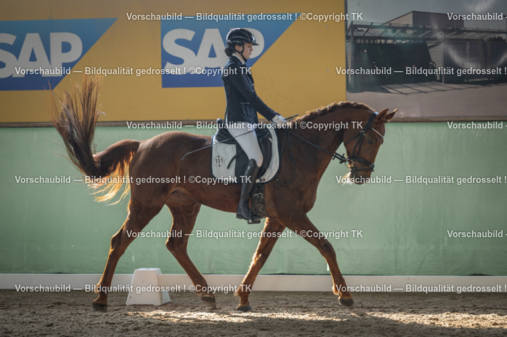 _D5A8534 | Emotionale Pferde- & People-Fotografie rund um Heidelberg, Leimen & Umgebung. Natürliche Fotos von Pferd, Mensch & Familie. Jetzt Termin sichern!
