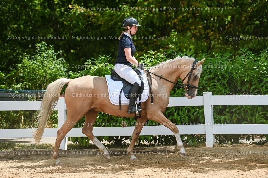 20230715_09_Dressur-WB_0509 | equistock