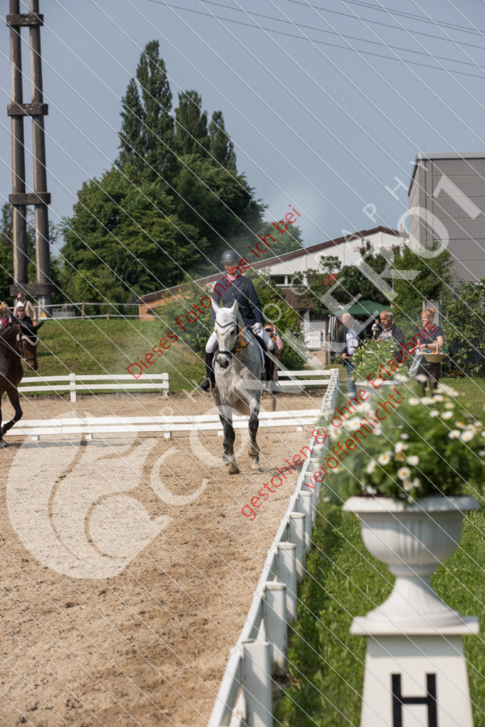 IMG_2955 | Sport-, Event- und Tierfotos in Profiqualität. Einfach auswählen, bestellen und herunterladen. Dein Moment – perfekt festgehalten.