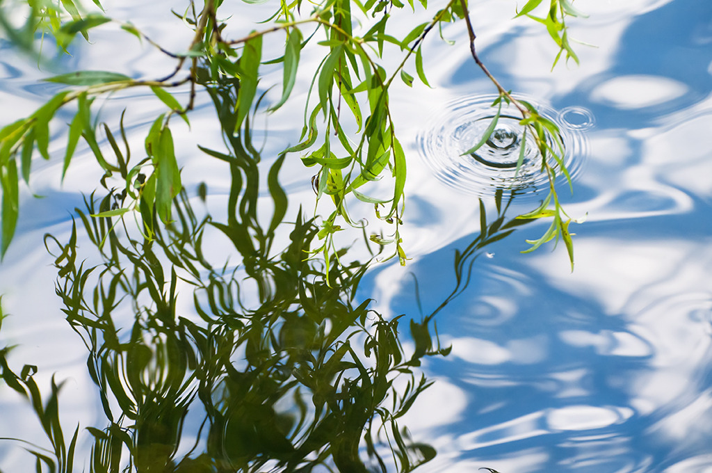 d_2008_07_0204 | Ausdrucksstarke Naturfotografien | Fotokunst Wandbilder zur Raumgestaltung für Zuhause | Praxis und Büro| Hotels und Wellness | Kanzlei und Repräsentanz. Hochwertig, individuell, flexibel. - Realisiert mit Pictrs.com