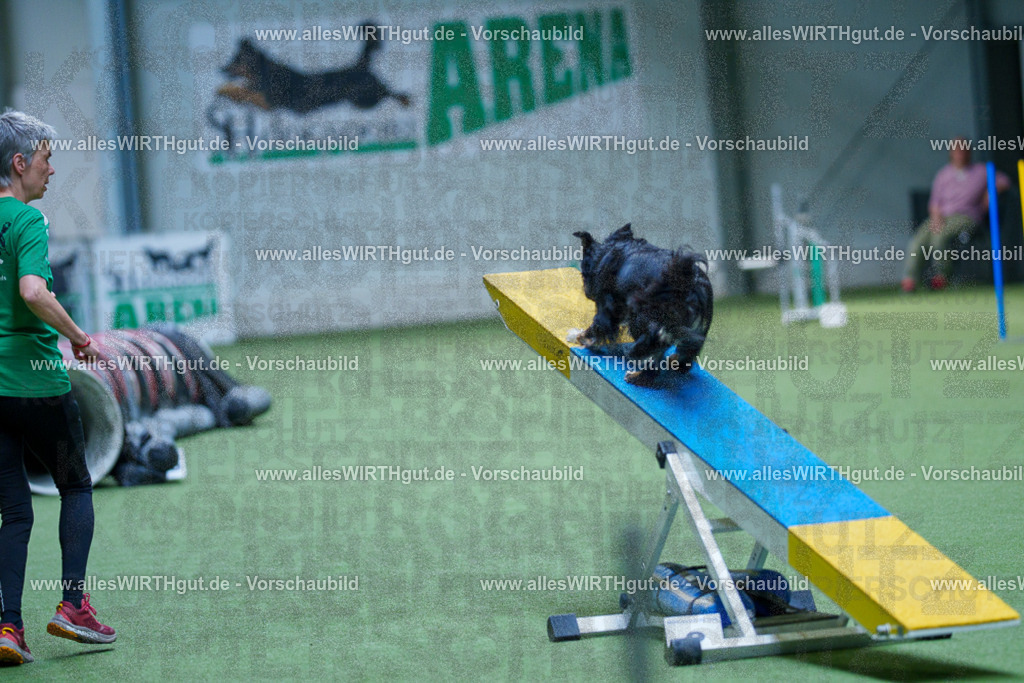 @allesWIRTHgut_Tierfotografie - www.allesWIRTHgut.de - 2604251438-7R505168 | Professionelle Tierfotografie in Mönchengladbach von Daniel Wirth (allesWIRTHgut). Liebevolle & natürliche Bilder von Hunden & Katzen für unvergessliche Erinnerungen.