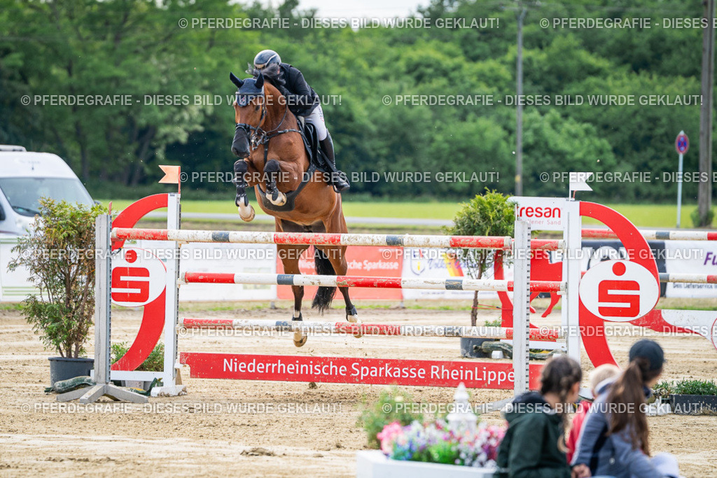 DSC07322 | Pferdegrafie