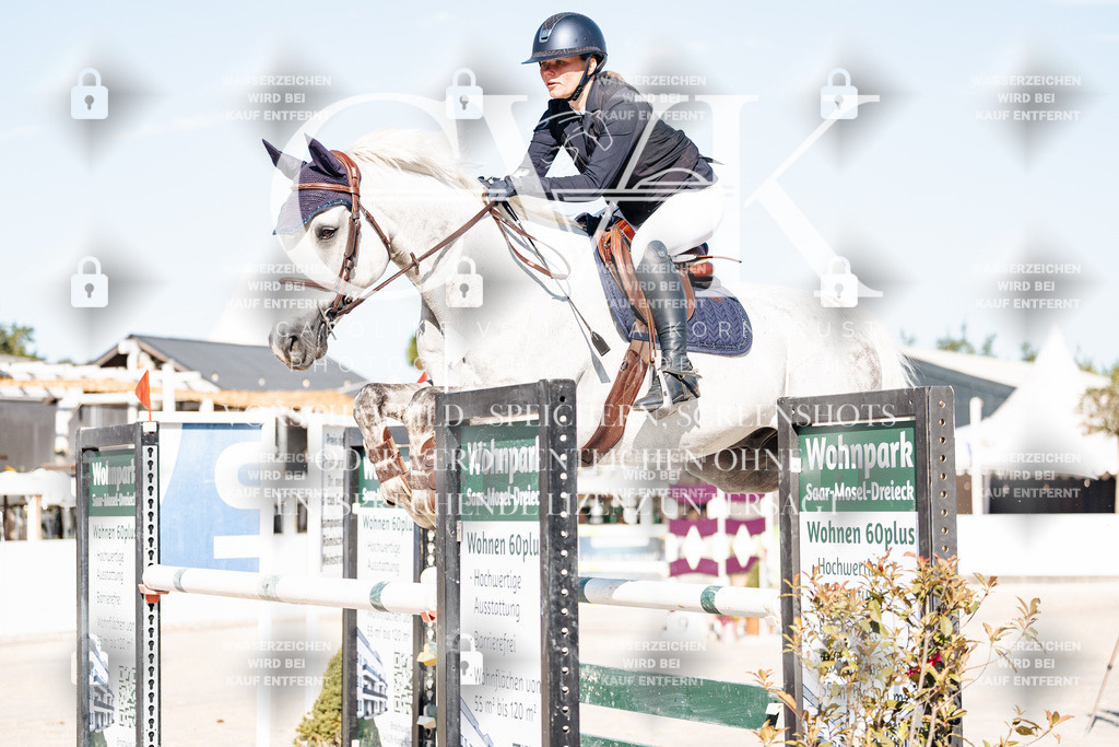 CK904449 | Turnierfotografie Pferdefotografie Trier Rheinland-Pfalz Pferdesport Reitsport Tierfotografie Sportfotografie Pferdevideo Pferdevideografie Equestrianvideography equestrianphotography  - Realisiert mit Pictrs.com