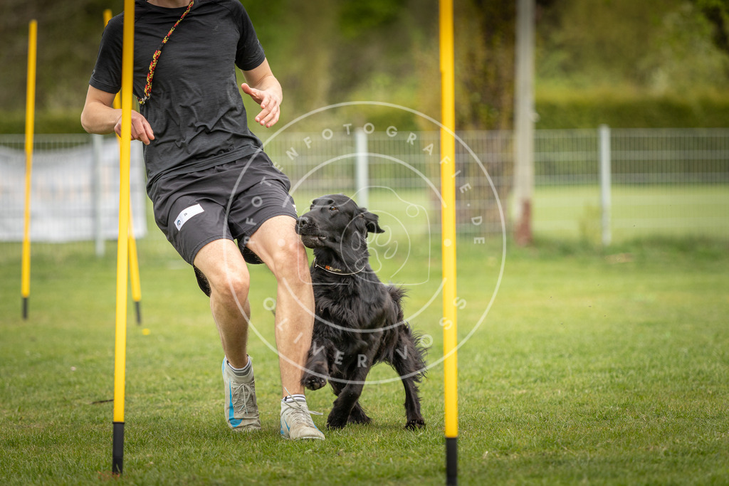 Pfotenfotografie_DV3A9870 | Hundefotografie, Tierfotograf, Pfotenfotografie, Fotoshooting Hund, Hunde Portrait, Hundesport, Hundeportraits, Heideshooting, Hunde, Sportfotograf, Hundefotograf, Turnierhundsport, THS,  - Realisiert mit Pictrs.com
