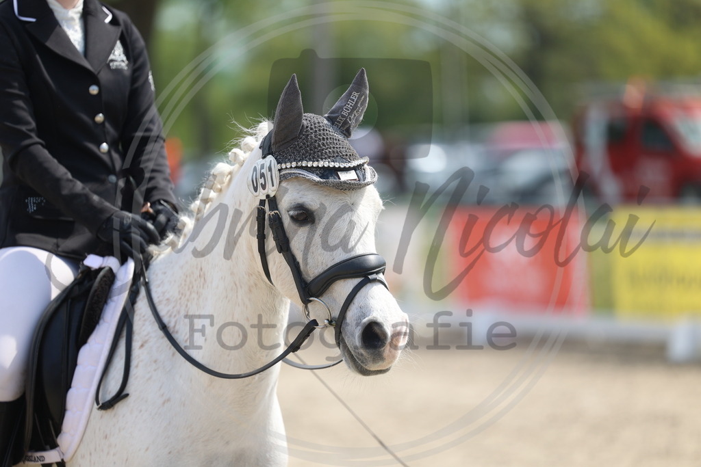 994A1270 | sabrinanicolaifotografie - Realisiert mit Pictrs.com