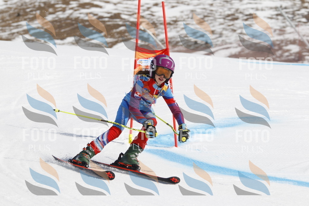 _U3G0077 | holidayphoto