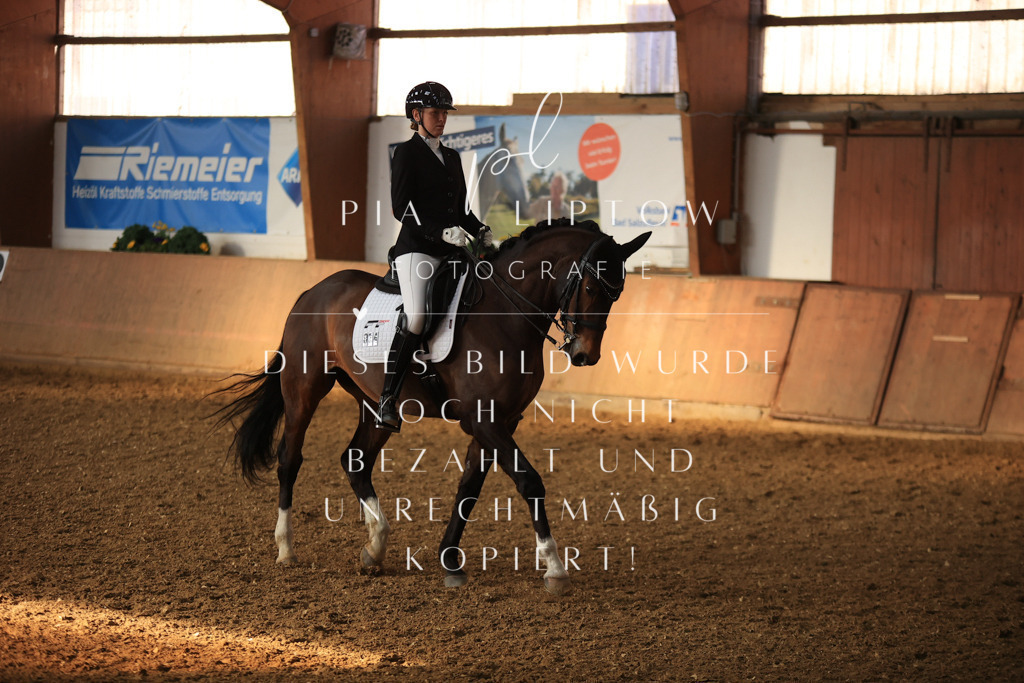 IMGT0995 | pl-fotografie