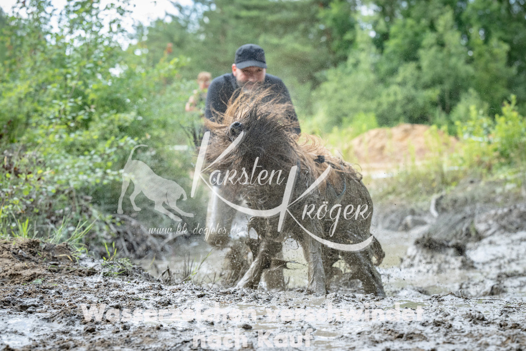 1015_ZZ91314 | kk-dogfotos