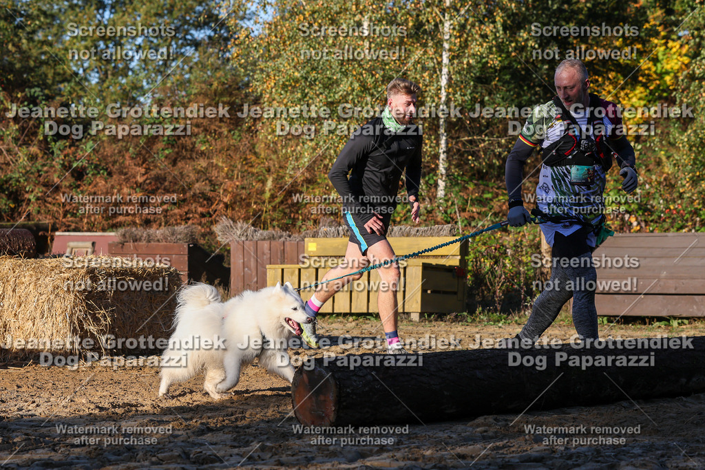 Dog Paparazzi - Strongdog 10-25-1159 | Dog Paparazzi Jeanette Grottendiek Fotografie & Videografie - Realisiert mit Pictrs.com