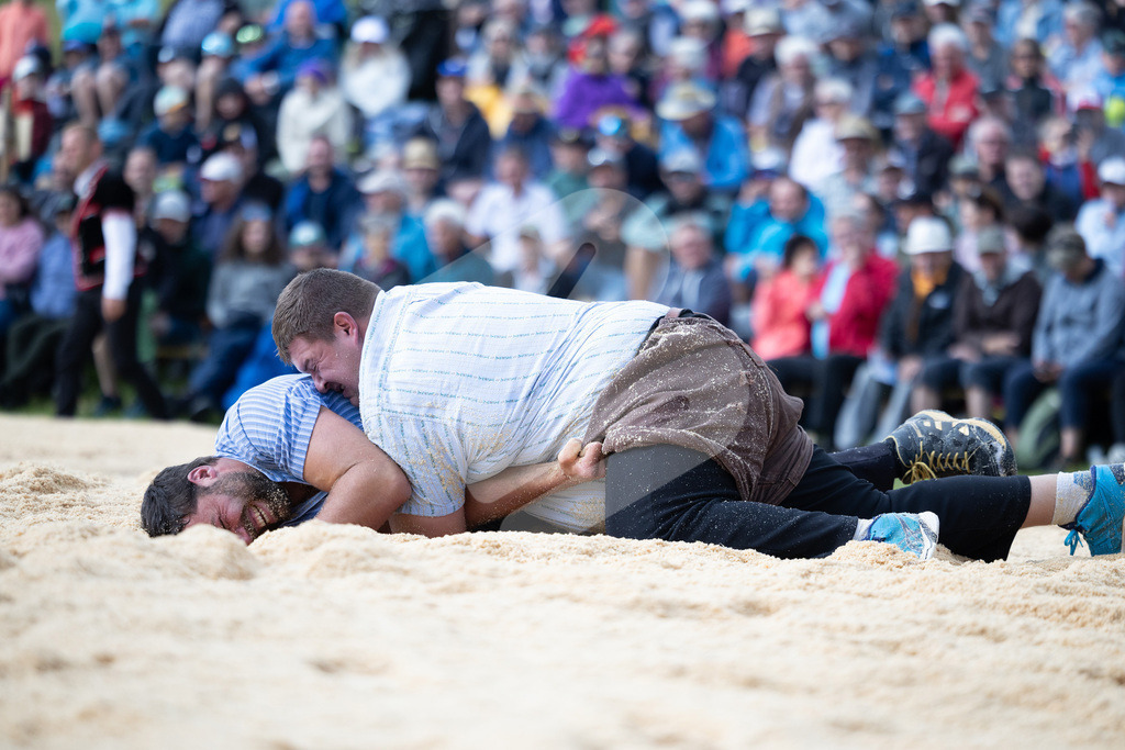 Rigi2025_0351 | Die Schwinger des Schwyzer Kantonalen Schwingerverbandes: Fotos, die Dynamik und Leidenschaft festhalten, sowie emotionale Momente aus dem traditionellen Schwingsport zeigen. - Realisiert mit Pictrs.com