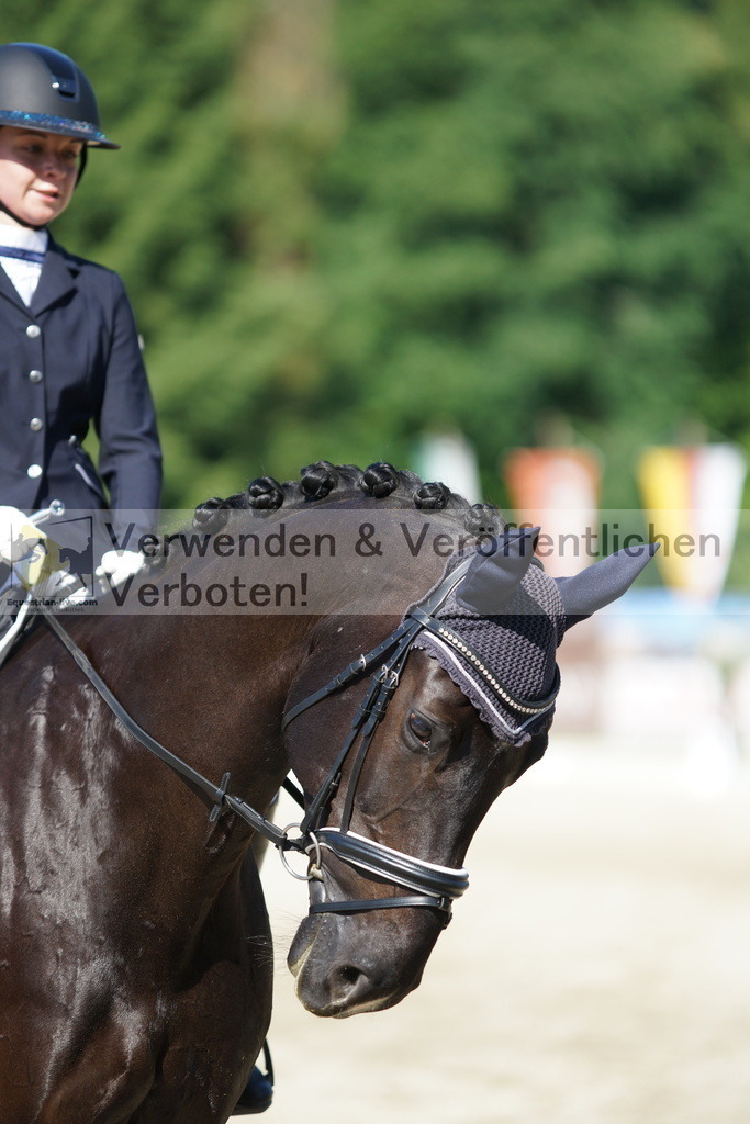 DSC02950 | equestrian-live-com
