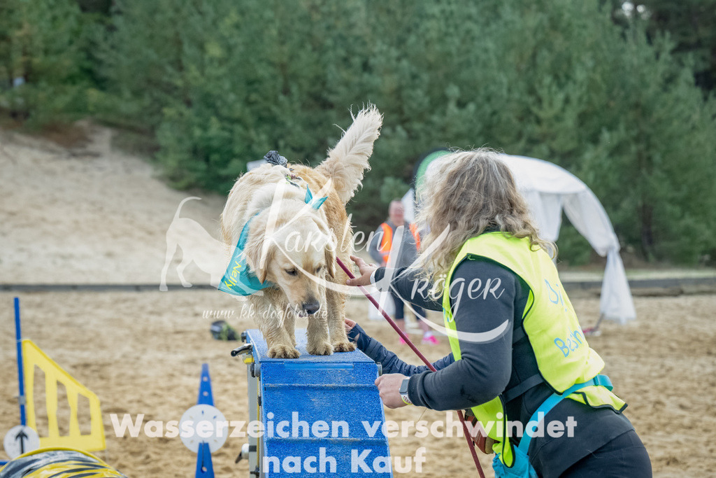 0919_ZZ92228-Bearbeitet | kk-dogfotos