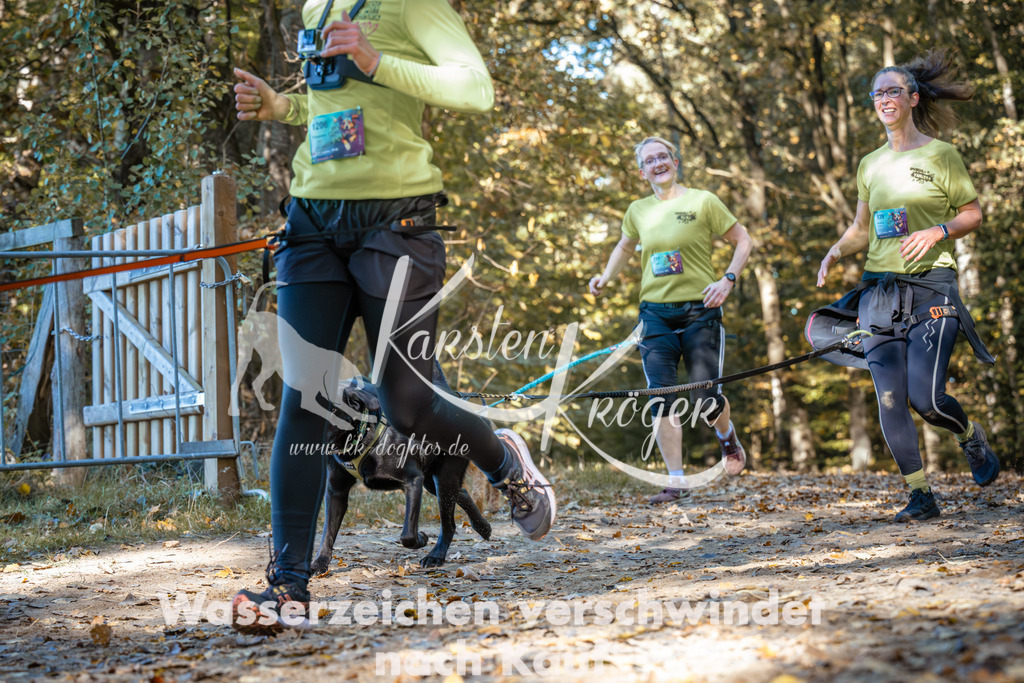 1121_ZZ92099 | kk-dogfotos