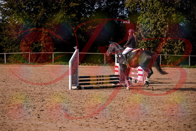 2026_10_03_Siefer-Hof_154245_Z81_60360102 | Professionelle Reitsport-, Turnier- und Eventfotografie von Robert Broda. Galerien mit ausgewählten und bearbeiteten Bildern direkt online ansehen und bestellen.