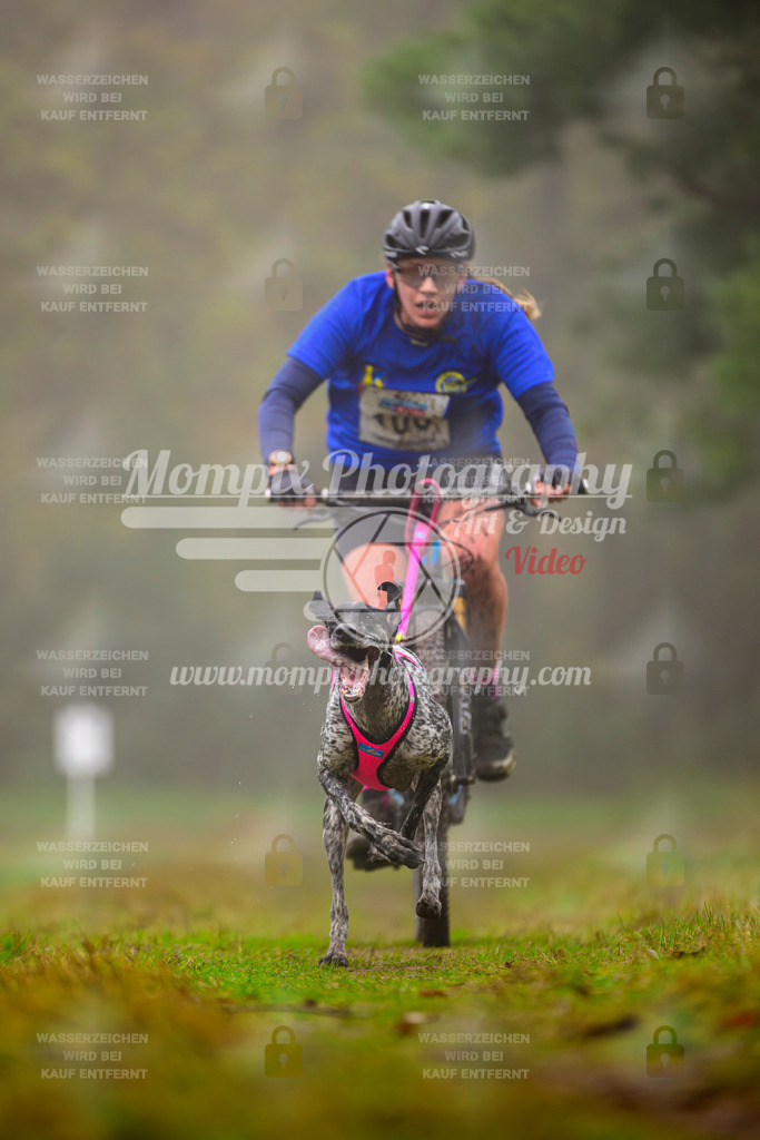 MompixPhotography_Bischwiller2025_Bike-13 | mompixphotography