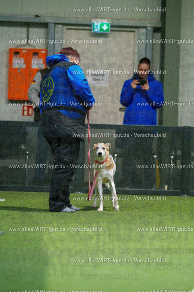 7R504502 | Professionelle Tierfotografie in Mönchengladbach von Daniel Wirth (allesWIRTHgut). Liebevolle & natürliche Bilder von Hunden & Katzen für unvergessliche Erinnerungen.
