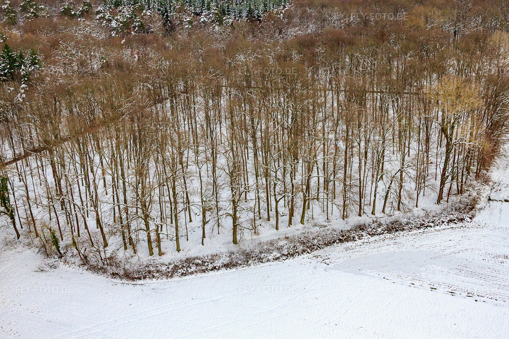 Luftbild: Waldfriedhof Bienwaldruhe bei Schnee im Winter in Kandel im Bundesland Rheinland-Pfalz in Deutschland. Foto: IMG_36266.jpg vom 02.01.2011 durch Werner Riehm/FLY-FOTO.de