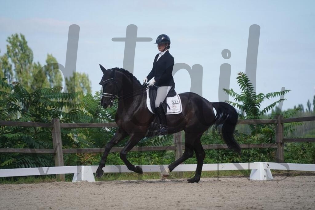 tgbhsonntag (700) | d.tail Visions - Shop - Realisiert mit Pictrs.com