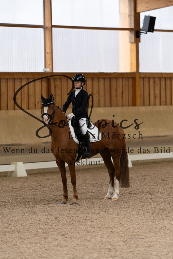 A7507076 | Pferdefotograf