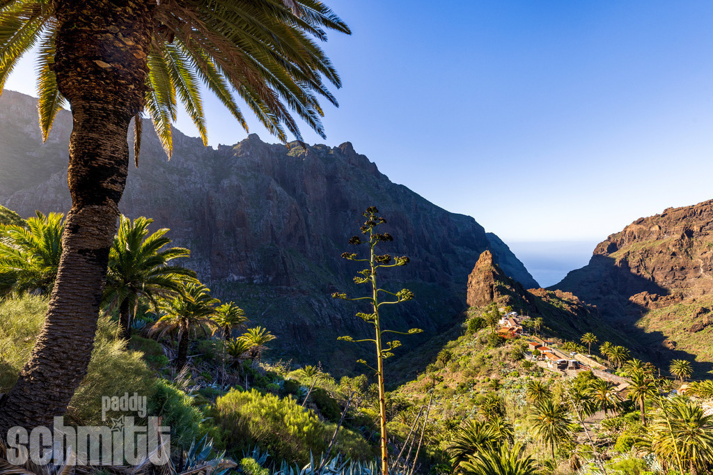 PS-Teneriffa-2026-46 | Entdecke die größte Bildgalerie der Region mit Fotografien aus dem Allgäu, der Bodenseeregion, Oberschwaben, dem Donautal und der Schwäbischen Alb. Landschaften, Luftaufnahmen und Reisefotografie als Wandbild und Fotokunst. - Realisiert mit Pictrs.com