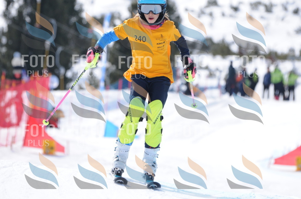 C8807 | holidayphoto