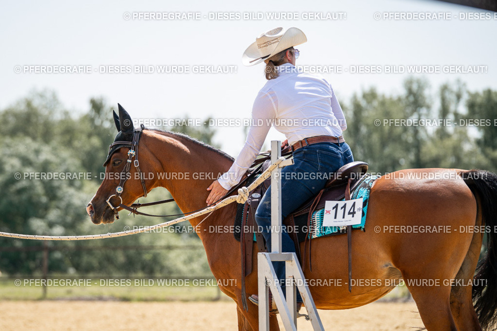 DSC00507 | Pferdegrafie