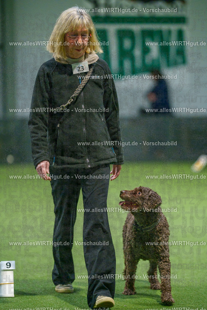 7R504918 | Professionelle Tierfotografie in Mönchengladbach von Daniel Wirth (allesWIRTHgut). Liebevolle & natürliche Bilder von Hunden & Katzen für unvergessliche Erinnerungen.