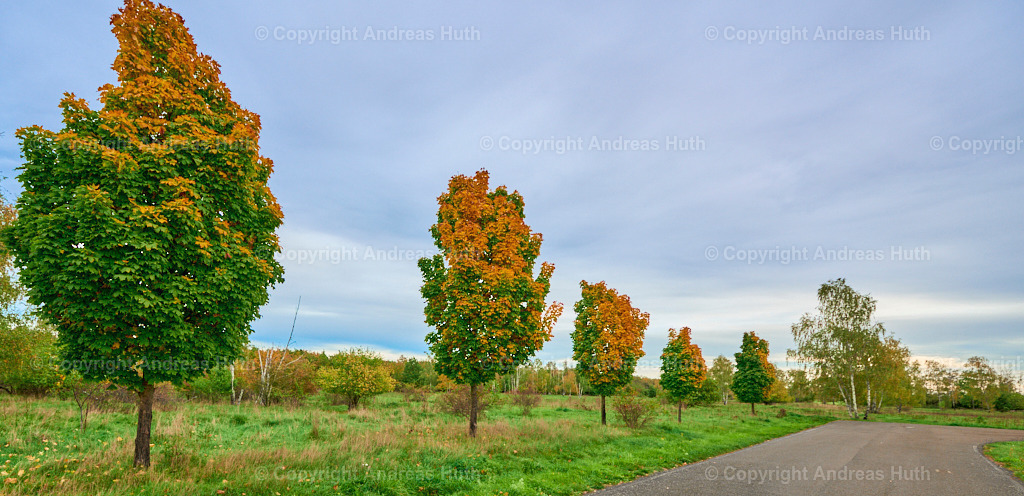 ehem. Truppenübrungsplatz_ jetzt NSG _Am Spitzberg_ 01 | Bedeutsame Landschaften Deutschlands - Realisiert mit Pictrs.com