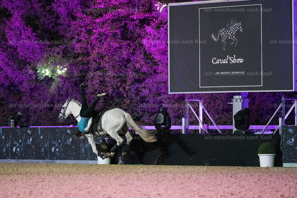 Gala-629 | working equitationturnier fotograf videograf stoibphotography marixx film working equitation deutschland reitsport turnierfotografie eventfotografie equestrian events