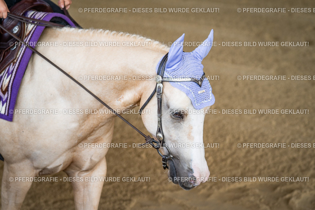 DSC07772 | Pferdegrafie