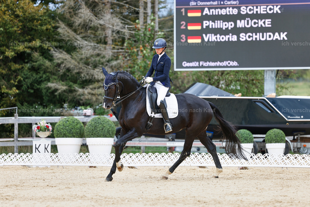 04_1-190-Dressur M__ -StoibPH-StoibPH-2644 | working equitationturnier fotograf videograf stoibphotography marixx film working equitation deutschland reitsport turnierfotografie eventfotografie equestrian events