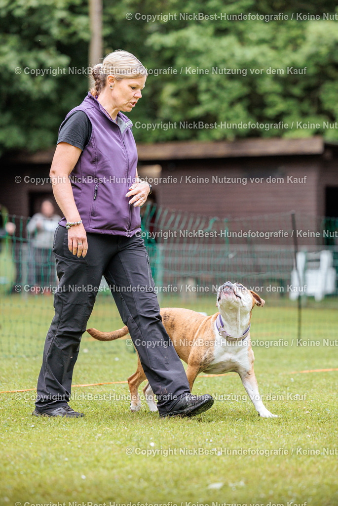 RO-Blumenthal-2026-Nickbest-Hundefotografie-1137 | Dein Hund! Dein Moment! Deine Erinnerungen! Hundefotografie in Bremen Blumenthal. Ich fange die besonderen Momente deines Vierbeiners ein – ob Indoor mit Blitzanlage oder in der freien Natur. Sicher dir dein Moment und dein Termin für eure Erinnerungen.