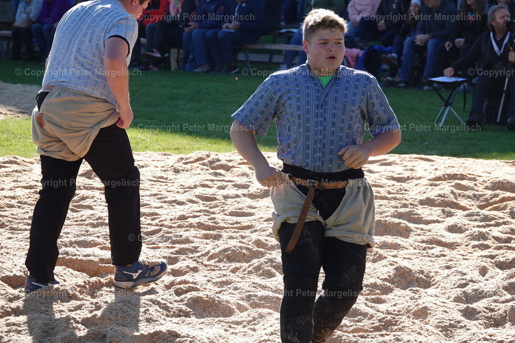 DSC01967 | Schwingen - Realisiert mit Pictrs.com