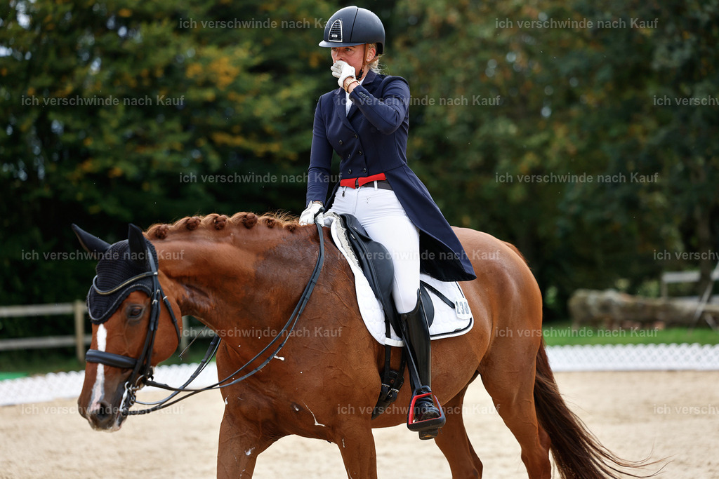 11-238-Dressur S___-StoibPH-1000 | working equitationturnier fotograf videograf stoibphotography marixx film working equitation deutschland reitsport turnierfotografie eventfotografie equestrian events