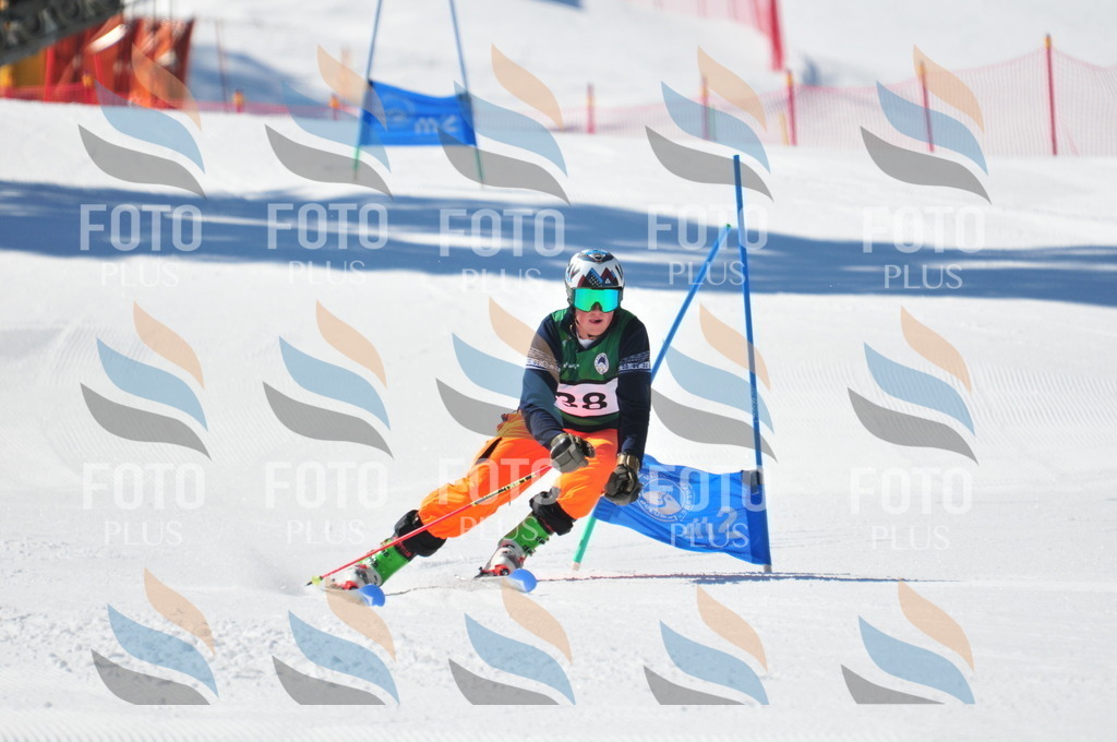 C3568 | holidayphoto