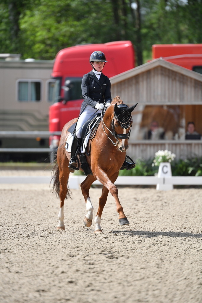 Plinke_25_120 | Der professionelle Turnierfotograf ✓ Reitsport Bilder ▷ Shop ✚ günstig & schnell ✚ mit Zugang für Redakteure